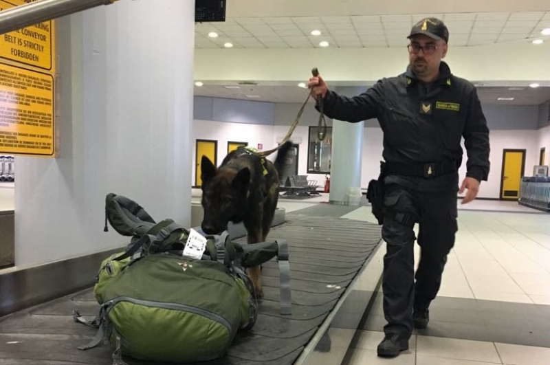 CASELLE - Sequestrati migliaia di euro grazie al fiuto del cane Escos